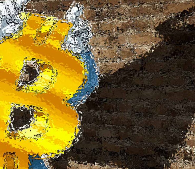 Bitcoin to Reach $100K by 2023, Says Bitbull Capital CEO