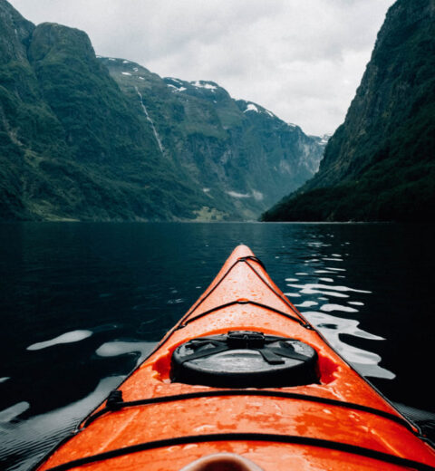 The Best Therapy for Your Mind and Soul done